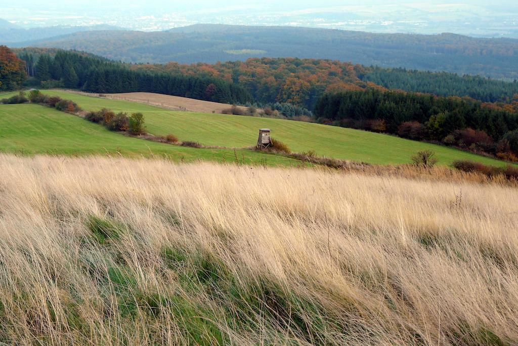 Gaestehaus Am Raeuschenberg Hoexter Bagian luar foto